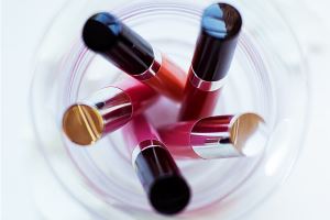 Worldwide regulatory framework for controls and inspections on cosmetic products