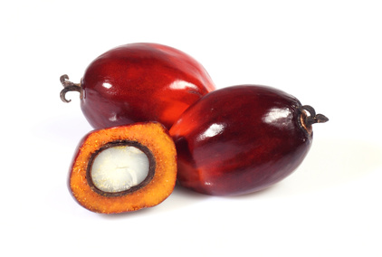 Palm oil: The traceability challenge for food industries